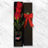 Three red roses in a black gift box with a red ribbon