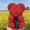 Red rose teddy bear with a black ribbon