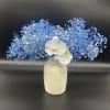 Blue baby's breath arrangement with white orchids in a patterned vase