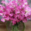Pink sweet pea bouquet in a clear glass vase