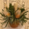 Arrangement of cream and orange protea in a terracotta pot