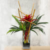 Red tropical flower arrangement in a tall glass vase with bamboo accents