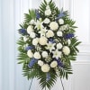 Standing funeral spray of white and blue flowers on an easel