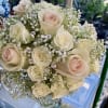 Bouquet of cream and blush roses with baby's breath