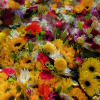 Assorted bouquets of bright yellow, red, pink, and white flowers