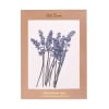 Pressed lavender sage stems mounted on a display card