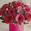 Hot pink Gerberas, roses. red roses, lavender mums with
wax flowers in hot