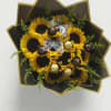 Bouquet of sunflowers with chocolates and butterfly decorations
