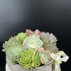 A modern botanical sculpture featuring layered succulent in soft ,organic tones .Designed