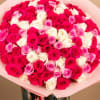 Large bouquet of pink, red, and white roses wrapped in pale pink paper