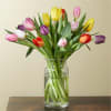 Colorful tulips arranged in a clear glass vase