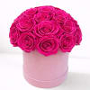 Hot pink roses arranged in a round pink box