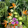 Tropical floral arrangement with orange bird of paradise and purple flowers in a white container