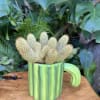 A living succulent selected and grown to complement a container about 3