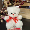 White teddy bear with a red heart ribbon in a Valentine display