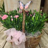 Nice double basket with 2 mini dianthus plants that can be planted