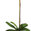Pink orchid plant in a bamboo square pot