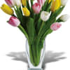 Bouquet of pink, yellow, and white tulips in a clear glass vase