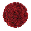 Tightly clustered bouquet of red roses viewed from above