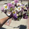 Handheld bouquet of white daisies and pink-purple blooms