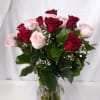 8 Rosas Rojas 8 Rosas Light Pink
Baby's breath  Sasal Verde En