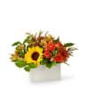 This Bold Golden Sunflower Is The Perfect Fall Gift For A Friend