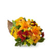 Perfect on their Thanksgiving Table or in their living rooms!