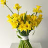 Beautiful bouquet
with daffodils and yellow tulips representing true friendship