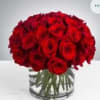 A classic dome of two dozen red roses gathers into a perfectly