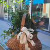 Wicker basket planter with assorted green houseplants and a cream ribbon bow