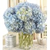 Amazing! Blue with  hydrangeas possess the casual grace and enduring beauty