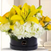 Yellow lilies and white hydrangeas in a black round box with yellow roses