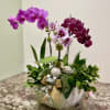Potted orchid arrangement with purple and white blooms in a white bowl