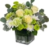 Cream roses and green-white mums in a square glass vase