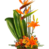 Orange lilies and bird-of-paradise in a rectangular vase