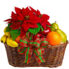 Fruit basket with red poinsettias and a plaid ribbon