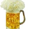 White flowers arranged in a beer mug filled with amber liquid