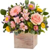 Mixed pink and yellow flowers in a wooden box