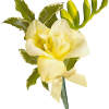 Yellow orchid boutonniere with green leaves and a ribbon