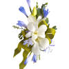 White orchid corsage with blue flowers and a green ribbon