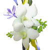 White orchid corsage with blue and purple accents and yellow ribbon