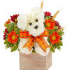 White teddy bear arrangement with orange flowers in a wooden box