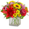 Bright mixed bouquet in a clear square vase with red lilies and yellow daisies