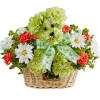 Unleash smiles with the lucky dog arrangement! Hand-designed in a charming basket