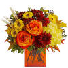 Bring a bright contemporary touch to this glorious season with a chic