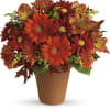 Orange and red mixed flower arrangement in a brown pot