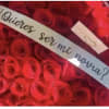 Large bouquet of red roses with a Spanish ribbon