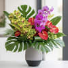 Tropical orchid arrangement in a white vase with red anthuriums