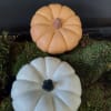Two decorative pumpkins on moss, one peach and one white