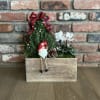 Small holiday planter with a miniature tree, white flowers, and a gnome in a wooden box